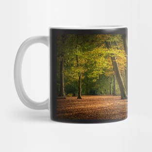 Beech Tree Forest in Autumn Mug